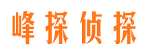 西双版纳市调查公司